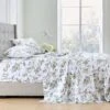 Bawlyn Printed Sheet Set -MANCHESTER COLLECTION Sales 32869