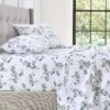 Schele Printed Sheet Set -MANCHESTER COLLECTION Sales 32870