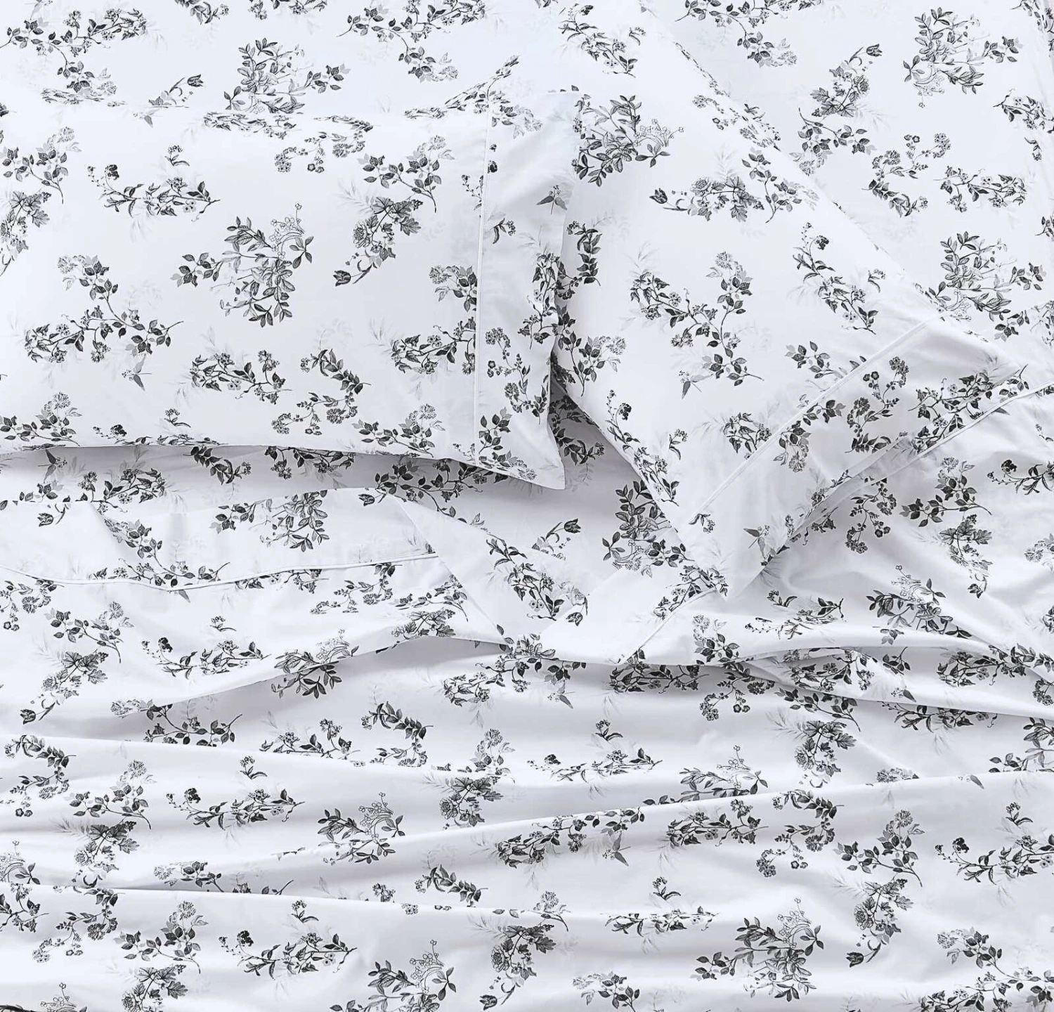Schele Printed Sheet Set 7 Schele Printed Sheet Set - Image 5