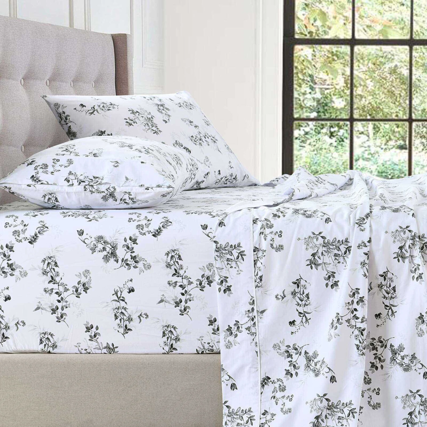 Schele Printed Sheet Set 3 Schele Printed Sheet Set